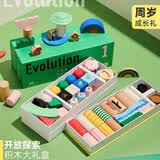 imikids万物生长儿童积木婴幼儿玩具男女孩早教拼装大颗粒礼物礼盒 1进化