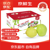 京鲜生 河北雪花梨 冰糖雪梨 净重10斤 单果300g+ 生鲜水果家庭装