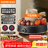 苏泊尔（SUPOR）迷你电陶炉 煮茶器煮茶炉煮茶壶 养生围炉煮茶泡茶办公家用不挑器具SW-DTL05