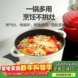 乐扣乐扣（LOCK&LOCK）珐琅铸铁锅双耳汤锅炖锅奶锅煮锅煮面煲汤电磁炉煤气灶白色24cm