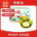 京鲜生 新疆特级库尔勒香梨 净重5斤单果120g以上 生鲜水果