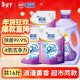 榄菊康涤全效洗护洗衣液8kg（2kg*1瓶+2kg*3袋）薰衣草香除菌