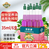 德沃多植物营养液通用免稀释棒棒淝6小支园艺水培土培盆栽养花肥料生根