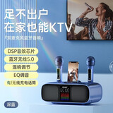 YTFY柏林之声家庭ktv音箱户外卡拉OK一体机蓝牙无线麦克风多功能唱歌K歌神器 蓝色【DSP音效芯片+无线话筒】