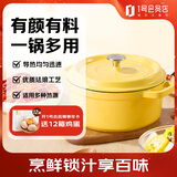 1号会员店珐琅锅汤锅24cm 铸铁炖锅3.5L煲汤锅24cm黄色 多功能烹饪