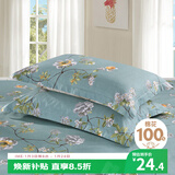 艾薇 A类枕头套纯棉家用全棉单人枕套一对枕芯套 清馨花园 48*74cm