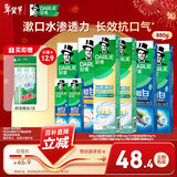 好来(原黑人)热销榜双重薄荷2合1超白去烟渍去口气美白牙膏880g