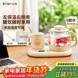 小熊（Bear）迷你养生壶 办公室烧水壶电水壶煮茶壶 保温杯垫多功能花茶壶煮水壶0.8升 YSH-D08D3 