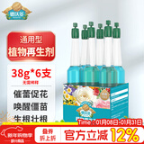 德沃多植物再生剂营养液通用6支水培发财树花肥料绿植花卉生根液