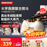 大宇（DAEWOO）【差旅推荐】手持挂烫机家用熨烫机蒸汽电熨斗 旅游出差便携式小型除菌烫衣神器HI-036 北欧白
