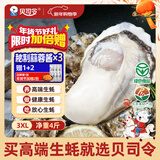 贝司令 鲜活乳山生态生蚝3XL 净重4斤 10-15只 生鲜源头直发年货送礼