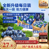 三只松鼠每日蓝莓干256g/16包 无添加水果干果脯小包装儿童老人办公室零食