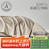 巢歌A类面料新疆长绒棉枕头套枕套一对纯棉亲肤四季家用全棉枕芯套