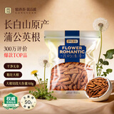 贡苑【精选6年】蒲公英根茶510g 足龄老根特优级长白山花草养生茶袋装