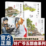 【正版】山居岁月系列全3册 山居岁月+远山深处+惊风的山纽伯瑞儿童文学奖银奖中小学生三四五六年级课外阅读书籍新蕾出版社 【5册】叶广芩五部曲