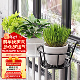 索尔诺悬挂花架阳台多肉架装饰架创意简约花盆挂架绿萝户外花架 一只装-黑色【托底直径18】
