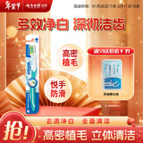 云南白药基础系列多效净白软毛牙刷 高密立体植毛多面清洁 成人 单支装