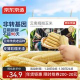 京东京造云南白拇指玉米1.76斤（16-20根）非转基因儿童宝妈早餐低脂新玉
