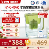 倍世（BWT）净水壶滤水壶净水器家用 欧洲去水垢滤芯 益家4.2L大容量 过滤水壶 厨房客厅通用  年会年货送礼 【去水垢滤芯】1壶12芯 绿色