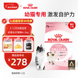 皇家幼猫猫粮 幼猫奶糕 K36 通用粮 4-12月 4.5KG