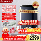 格力（GREE）【除湿净化一体机】除湿机抽湿机家用25升/天空气净化UV除菌除潮防霉强力吸湿干衣机DH25EPA1B