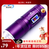 佳之钓 双光源强光钓鱼灯夜钓灯高亮鱼灯拉饵灯变焦充电手电钓灯 套餐二