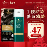施华蔻（Schwarzkopf）怡然一按染泡泡染发乳2.0雾感冷黑 染发剂男女多次盖白 热门商品