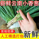 盛觅 小香葱新鲜去皮精品小葱细葱蘸酱自身农家香葱整箱 香葱带箱3.5斤净重3斤 自有农场
