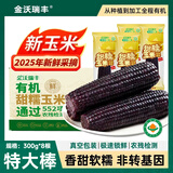 金沃瑞丰有机大棒 黑糯玉米棒300g*8支 4.8斤 粘糯香甜含花青素