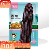 寿禾 超甜水果玉米种子大全紫糯黑甜糯可生食粘甜种孑冬春季寿光蔬菜 墨瞳黑色水果玉米种子20g约180粒