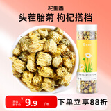 杞里香 桐乡胎菊 花草茶 菊花茶凉茶 罐装40g