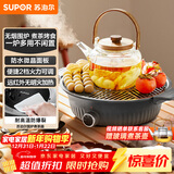 苏泊尔（SUPOR）围炉煮茶电陶炉多功能家用电煮茶炉养生泡茶烧水煮茶器蒸茶器白茶黑茶蒸茶器不挑器具SW-DTL-W1