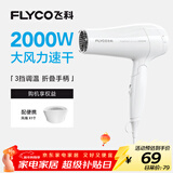 飞科（FLYCO）电吹风机家用发廊大功率2000W速干恒温便携可折叠白色FH6232