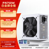 鑫谷（segotep）PN750W ATX3.1白金牌直出冰山版电源（12V-2X6支持5070Ti显卡/全电压宽幅/台式电脑主机箱电源）
