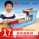 探梦科技小制作创意桌游DIY迷你保龄球亲子互动实验套装儿童科学实验 迷你保龄球
