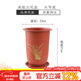 德沃多花盆树脂国风养花兰花花盆蝴蝶兰兰花专用盆红色大号