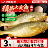 弹指鲜生 黄花鱼 新鲜活冻大黄鱼 冷冻海鲜 无冰净重3斤（2条/斤）