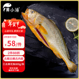 黄小渔宁德三去大黄鱼800g/条净重 黄花鱼生鲜鱼类海鱼海鲜水产年货送礼