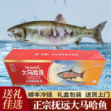 亚又婧2025黑龙江大马哈鱼新鲜整条东北抚远洄游江鱼春节送礼年货礼盒 【顺丰冷链】4-4.5斤礼盒装一条
