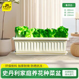 史丹利阳台种菜盆专用家用花盆长方形塑料蔬果盆栽象牙白【长490mm】