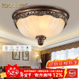 韬齐 欧式吸顶灯客厅现代简约主卧室灯美式阳台灯具 J2003-中号 直径35CM 配单色LED灯泡