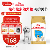 皇家狗粮 拉布拉多幼犬狗粮 宠物大型犬 ALR33 全价犬粮 2-15月 3KG