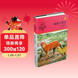 母豺火烧云 动物小说大王沈石溪品藏书系 小学生三四五六年级课外儿童文学书