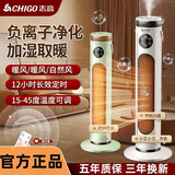 志高取暖器暖风机智能语音加湿取暖器立式暖风机石墨烯加热大面积取暖节能恒温电暖器冷暖两用一体机 语音智能款 白色【加湿喷雾+智能恒温+预约定时】