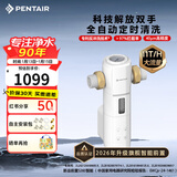 滨特尔（pentair）前置过滤器大通量家用全屋自来水管道40μm过滤器大流量水驱涡轮+反冲洗刮洗净水器 【上门安装】S260全自动11T/H