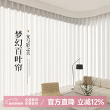 家菲百叶纱透光不透人卧室阳台窗帘纱帘梦幻飘逸2024新款白色窗纱客厅 百叶纱-月光白 宽3米 高2.7米挂钩款1片 米