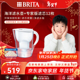 碧然德（BRITA）过滤净水器 家用滤水壶 净水壶 Marella 海洋系列白+专家版滤芯12枚（含附件）