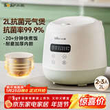 小熊（Bear）电饭煲2~3人 家用迷你小容量电饭锅 2L智能快煮饭多功能智能预约煮粥锅微压煮饭锅 DFB-Q20B2