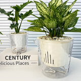 奥美优水培容器花盆懒人自吸水植物绿植绿萝透明免浇水储水盆透气防烂根