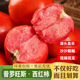 冉沃优选陕西普罗旺斯西红柿新鲜采摘即食水果饱满多汁产地直发番茄蔬菜 【畅销热卖  品质中果】 4.5斤 净重